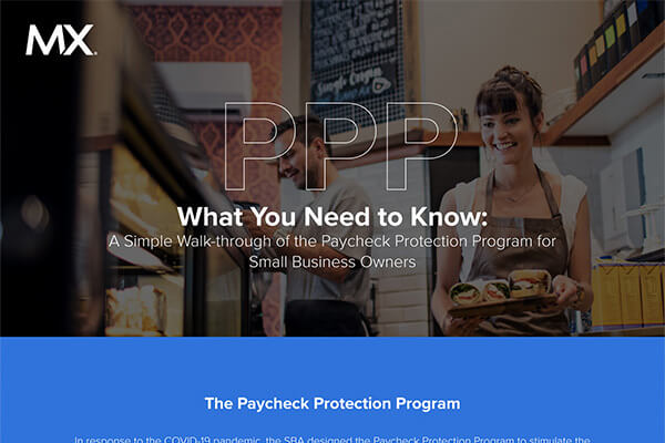 The Paycheck Protection Program